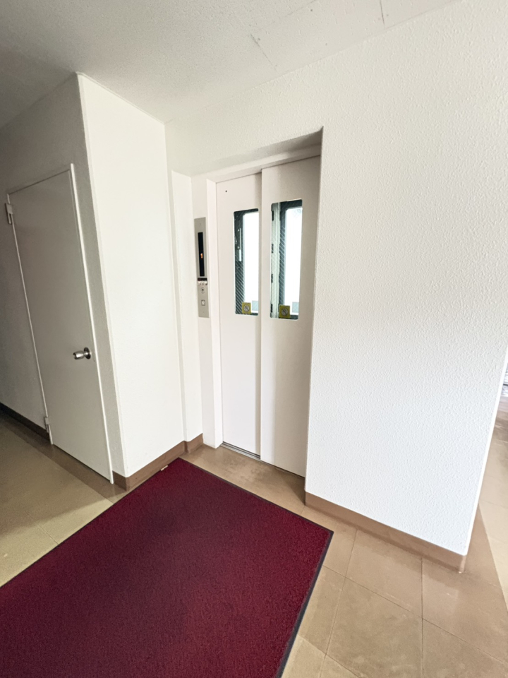 �k�C���D�y�s���攭���\���11���ڂ̒��Ã}���V�����̂��̑����p��